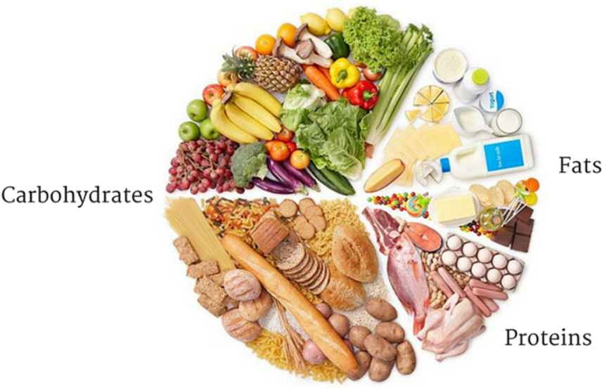 rahasia-hidup-sehat-makanan-tinggi-serat